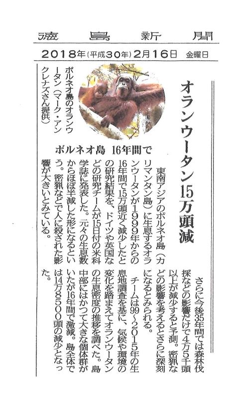 徳島新聞”ボルネオ島のオラウータン減少”